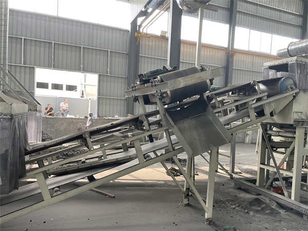 Magnetic conveyor for reclaimed foundry sand